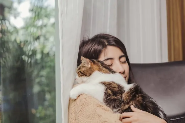 What’s a Velcro Cat? 10 Vet-Approved Ways to Tell You Have One