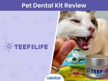 TEEF for Life Protektin30™ Review 2026: Our Hands-On Experience