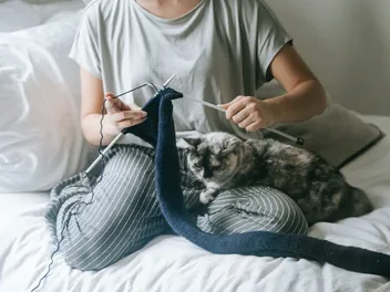 8 DIY Christmas Sweaters for Cats To Make Today (With Pictures)