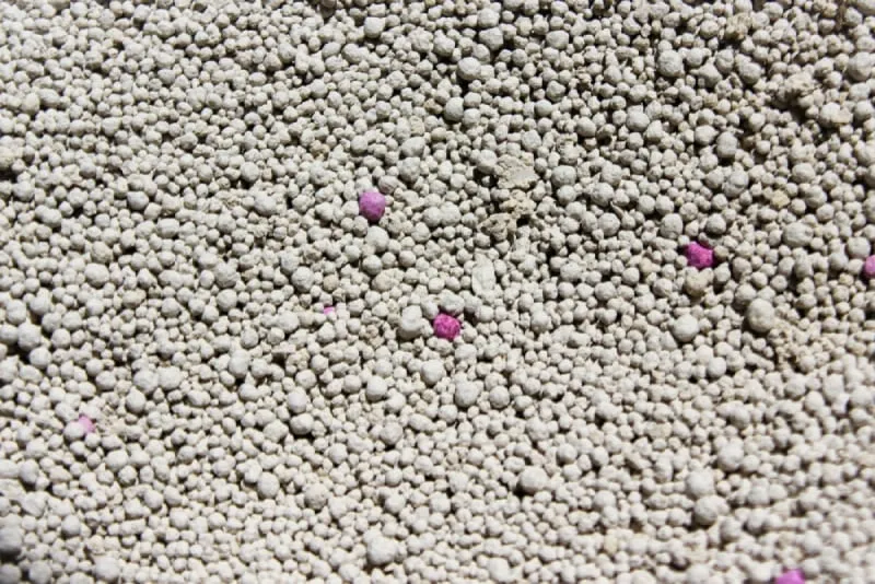 Close up texture sodium bentonite cat litter