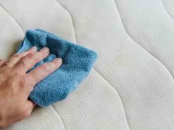 What Cleaning Products Are Safe for Cats? 10 Vet Approved Items to Keep at Home