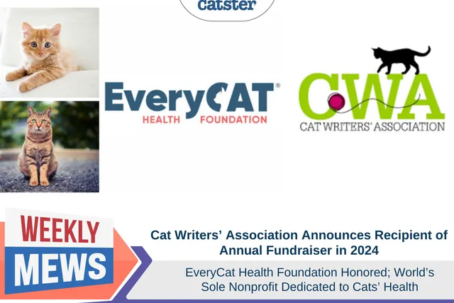EveryCat Health Foundation Honored Recipient of Cat Writers’ Association Annual Fundraiser in 2024