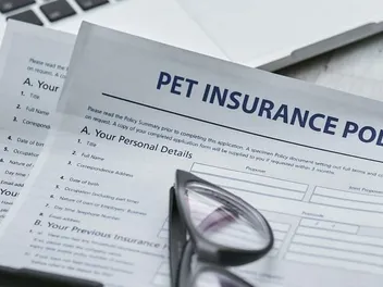 National Pet Insurance Month: 2026 Update & Interesting Facts