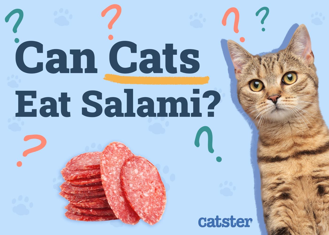 Can Cats Eat Salami