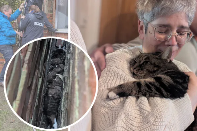 Dramatic Rescue Turns Into Dramatic Reunion