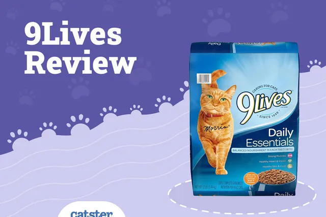 9 Lives Cat Food Review in 2026: Recalls, Pros & Cons