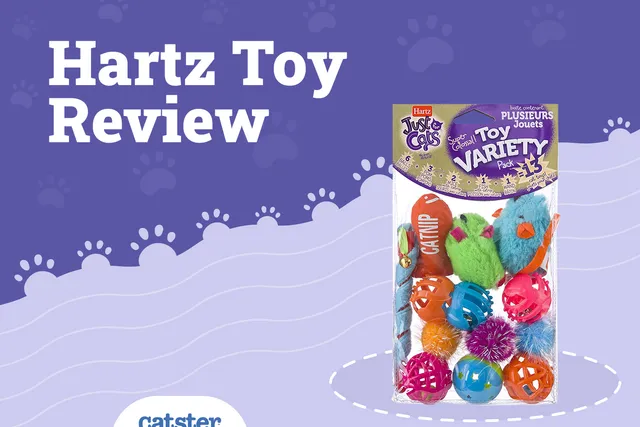 Hartz Cat Toys Review of 2026: Pros, Cons & Verdict