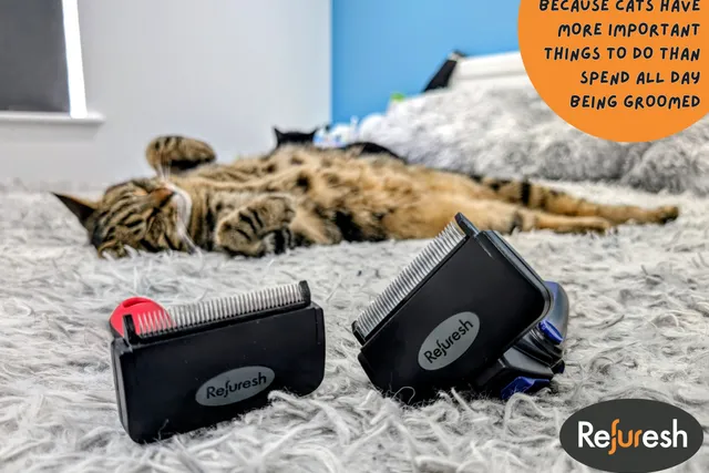 The Refuresh Deshedding Tool - It’s No Ordinary Brush