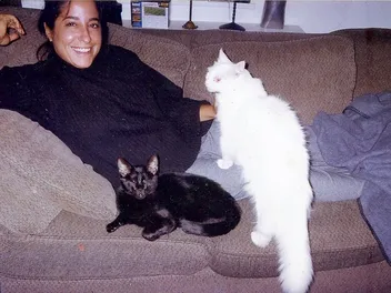 The Cat Who Changed Everything: Gwen Cooper on Homer, Hope, and Her Newest Chapter