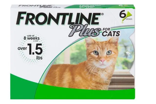 How Does Frontline Work on Cats? Vet Reviewed Facts & FAQ