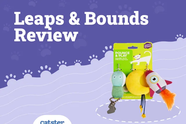 Leaps and Bounds Cat Toys Review 2026: Pros, Cons & Final Verdict