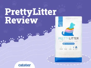 PrettyLitter Cat Litter Review of 2026: Vet-Reviewed Characteristics, Pros & Cons