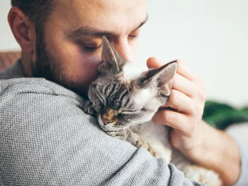 What Do Cats Really Think About Hugs? Vet-Reviewed Facts & Preferences