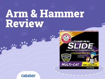 Arm and Hammer Cat Litter Review of 2026: Recalls, Pros & Cons