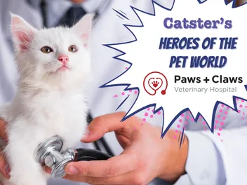 Heroes of the Pet World: Paws and Claws Veterinary Hospital