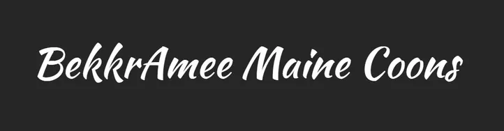 Ohio Maine Coons