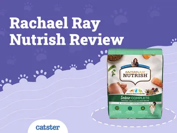 Rachael Ray Nutrish Cat Food Review of 2026: Recalls, Pros & Cons