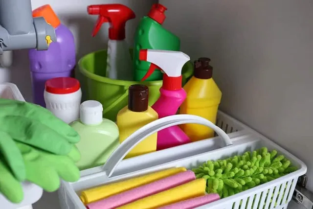 8 Household Items That Are Toxic to Cats (Vet Answer)