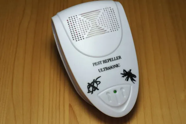 Will an Ultrasonic Pest Repeller Bother My Cat? Vet-Reviewed Signs to Look For