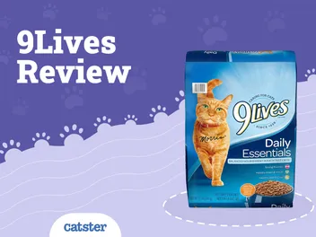 9 Lives Cat Food Review in 2026: Recalls, Pros & Cons