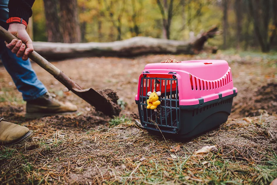 man digging grave for deceased pet
