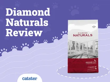Diamond Naturals Cat Food Review of 2026: Recalls, Pros & Cons
