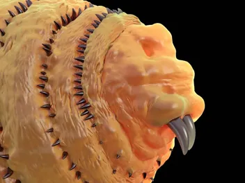 Botflies in Cats: Signs, Causes & Care (Vet Verified)