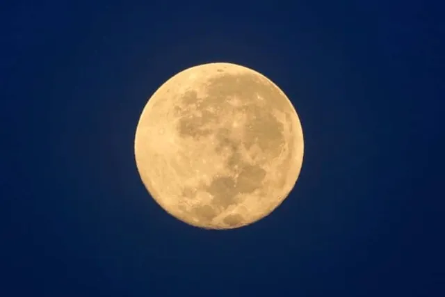 Does the Full Moon Affect Cats? What Science Says