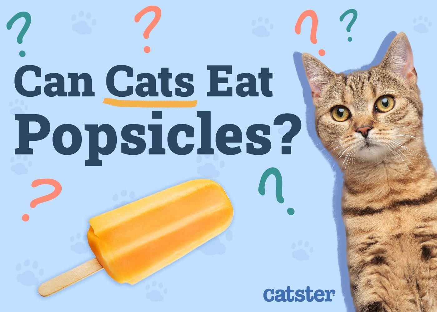 Can Cats Eat Popsicles