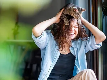 How to Handle the Post-Kitten Blues: 4 Vet-Verified Cat Care Tips
