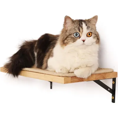 FUKUMARU Cat Wall Shelves, 16 x 10 Inch Cat Wall Furniture with Sisal Mat, Solid Rubber Wood Floating Wall Shelf with Upgraded Installation, Cat Window Perch for Sleeping, Playing and Scratching new