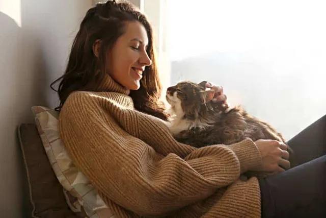 Cat Life Stages Explained (Plus 12 Vet-Approved Tips To Improve Their Wellbeing)