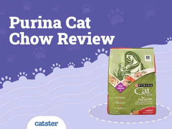 Purina Cat Chow Naturals Food Review of 2026: Recalls, Pros & Cons