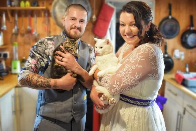 How My Cat Helped Me Find Love: Dr. Karyn's Valentine