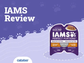 IAMS Cat Food Review 2026: Pros, Cons, Recalls, & Verdict