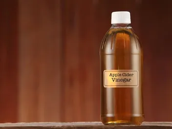 Does Apple Cider Vinegar Kill Fleas on Cats? Our Vet Explains