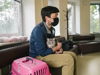 Cat Hotels: What to Expect When Leaving Your Pet