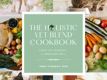 The Holistic Vet Blend Cookbook (2026 Review): Pros, Cons & Verdict