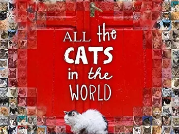 Jesse Hunter Visited 44 Countries for His Photo Book, "All the Cats in the World"