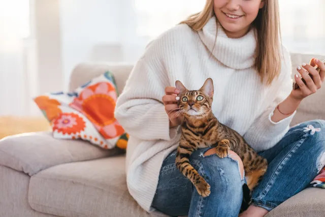 Do Bengal Cats Like to Cuddle? Vet-Reviewed Breed Preferences Explanation