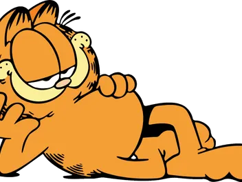 What Type of Cat Is Garfield? Possible Options