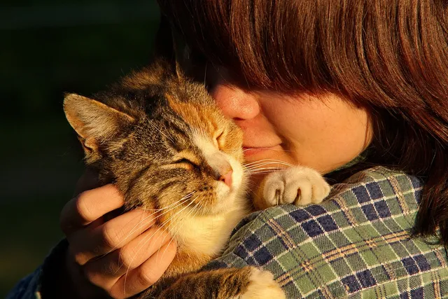 Why Do Cats Smell So Good? Feline Cleaning Habits & Facts