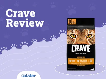 Crave Cat Food Review 2026: Recalls, Pros & Cons