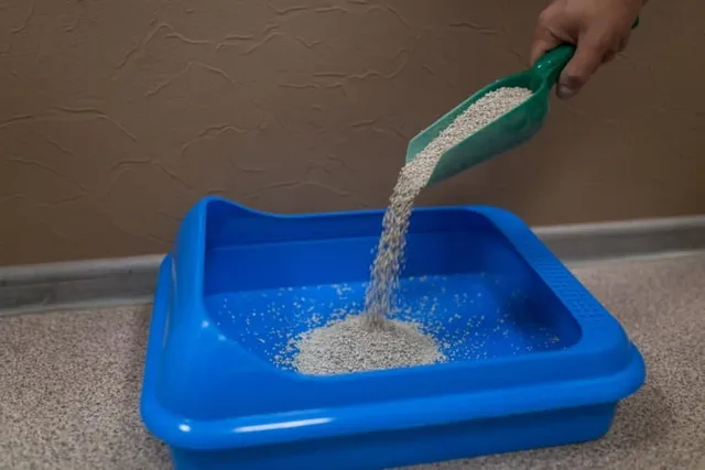 Will Cat Litter Keep Mice Away? Vet-Approved Facts & Info