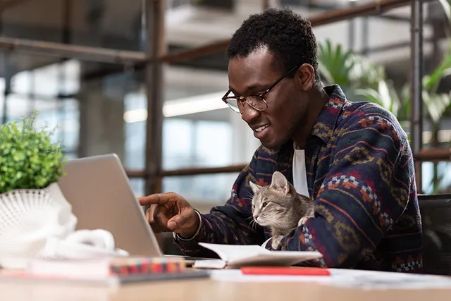 Take Your Cat to Work Day 2026: When & What Is It