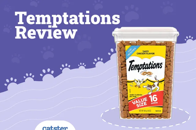 Temptations Cat Treats Review of 2026: Recalls, Pros & Cons