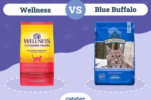 Wellness vs Blue Buffalo Cat Food: Our 2026 In-Depth Comparison