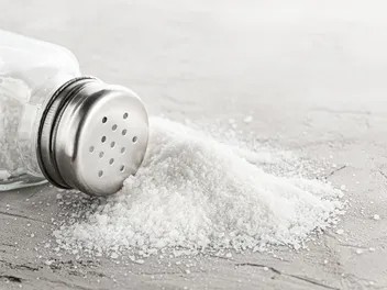 Does Salt Kill Fleas on Cats? Vet Reviewed Effectiveness & Safety