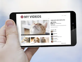 Top 10 Cutest Cat Videos of All Time