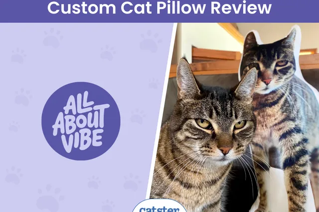 All About Vibe Custom Shaped Pet Pillow Review 2026: A Detailed Look
